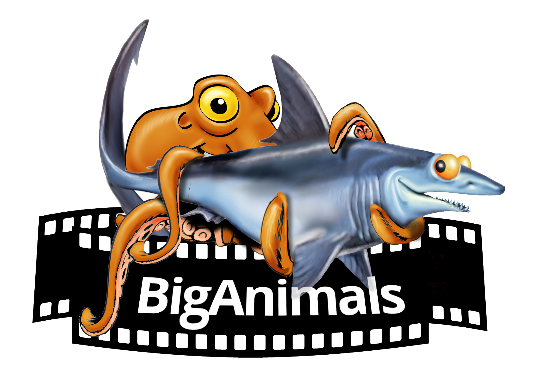 BIGANIMALS BEHAVIOUR